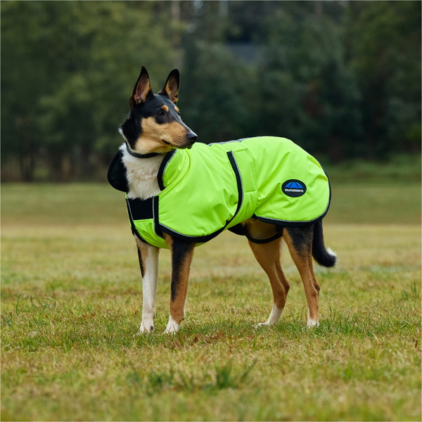 2025 Weatherbeeta Comfitec Reflective 300D Deluxe Showerproof Dog Coat 1029050 - Yellow